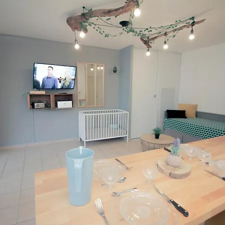 Centre Carcassonne,sans Vis A Vis,terrasse,piscine *